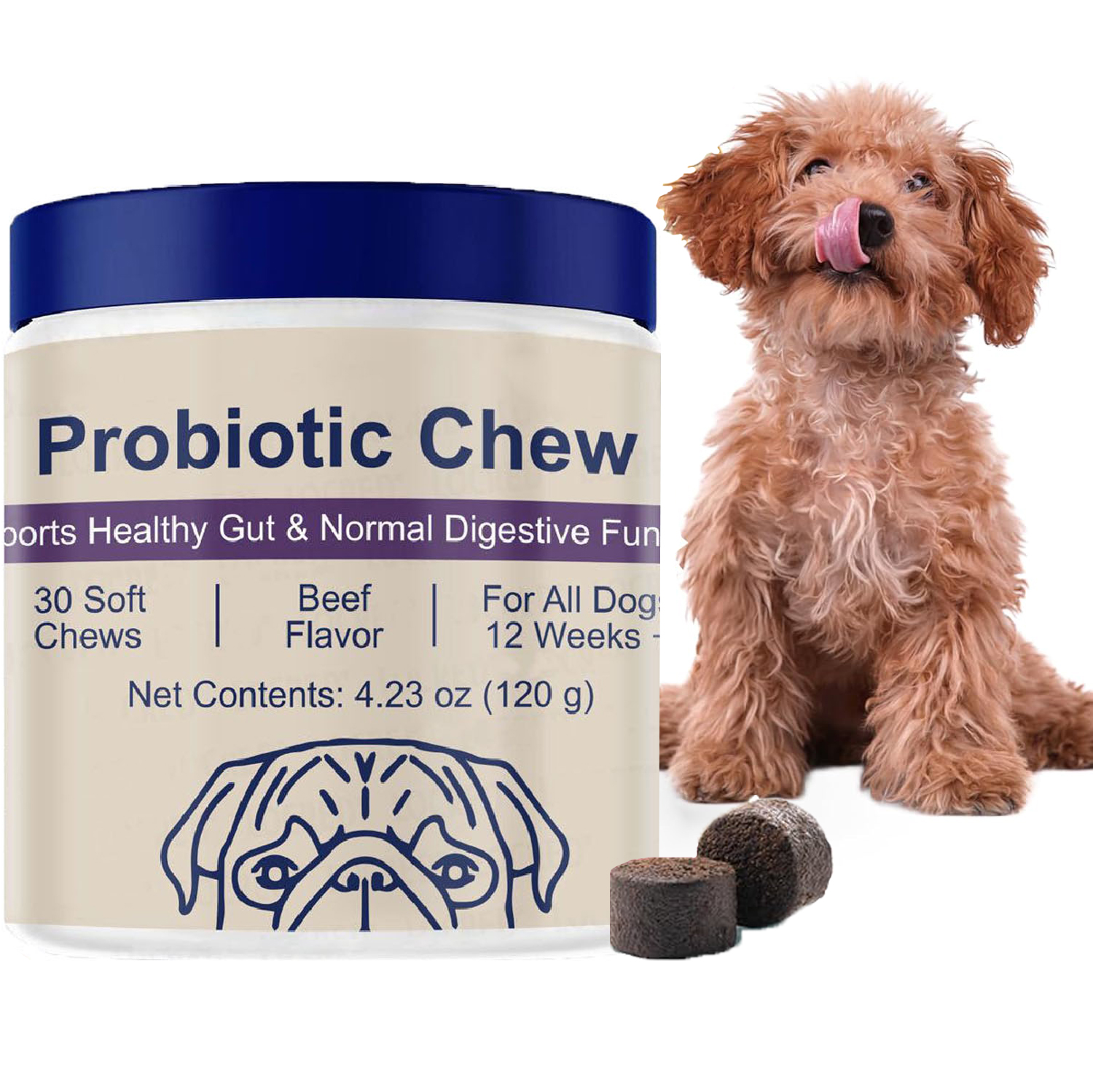 Probiotics for Dog, Digestive  – обзор и цена Digestive Enzyme Blend