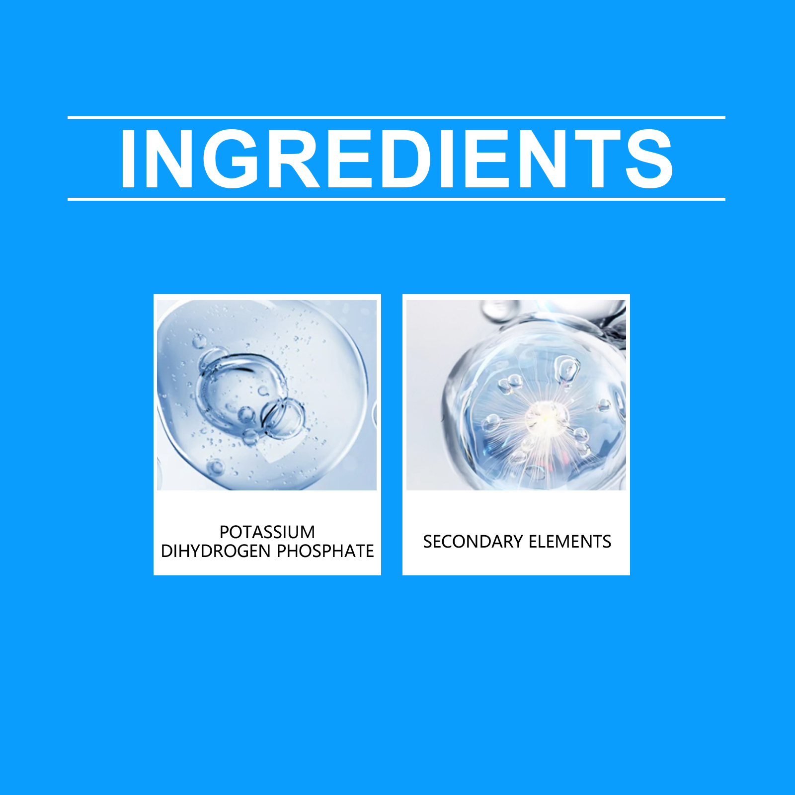 Flower Nutrient Solution Liqui – обзор и цена Nutrition & Fitness Coaching Fulham