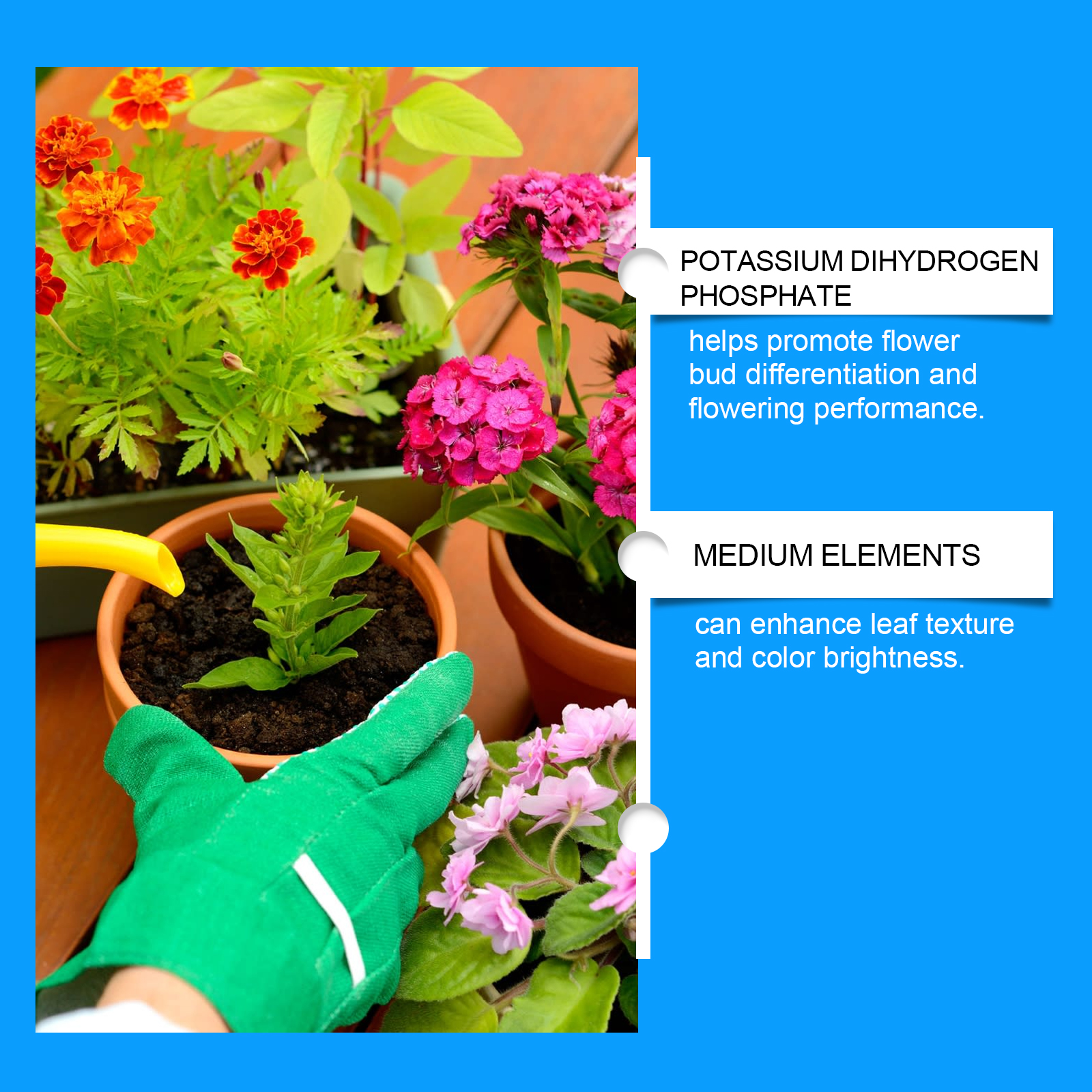 Flower Nutrient Solution Liqui – обзор и цена Nutrition & Fitness Coaching Fulham